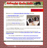 holowhot border collie